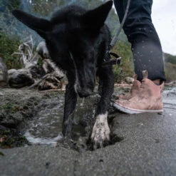 XTRATUF Ladies Waterproof Pink Cream Deck Boots XWAL-400 -True Style Shoes Store XWAL400 9 EXTRALARGE