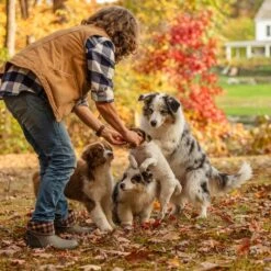 Muck Boot Company Muck Ladies Muckster II Mid Walnut Plaid Waterproof Boots WM2-9PLD 15 Muck Boot Company Muck Ladies Muckster II Mid Walnut Plaid Waterproof Boots WM2-9PLD -True Style Shoes Store wm2 9PLD 2